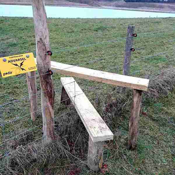 En trappe gør det muligt at komme over på den anden side af et elhegn.