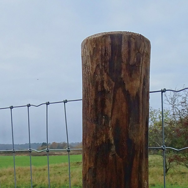 Close-up af en FaunaWood pæl med påmonteret nethegn