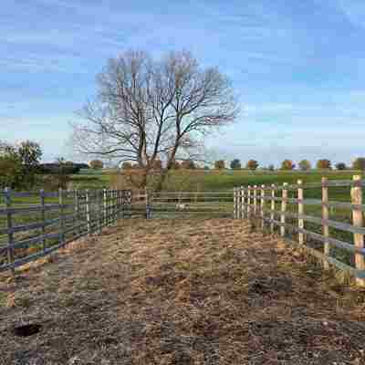 Permanent fangefold med stållåger, som ind- og udgang