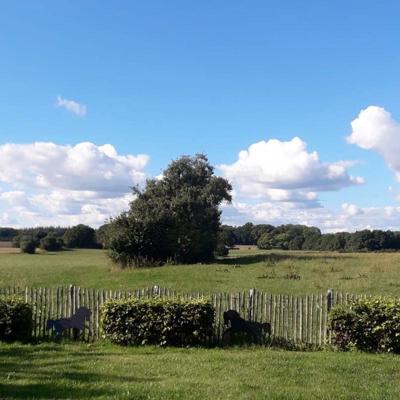 Et hegn af kastanjetræ fra Poda adskiller en have fra et natur område