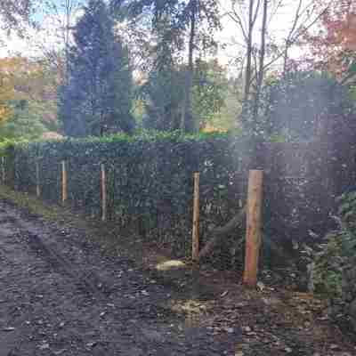 Privat billede fra partneren