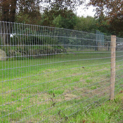 En have er indhegnet med Multinet på træpæle