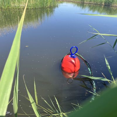 Rød flydende vandindtagsfilter med slange i en å omgivet af rørgræs.