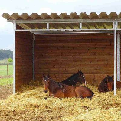 Tre brune heste ligger på et underlag af halm i et læskur.
