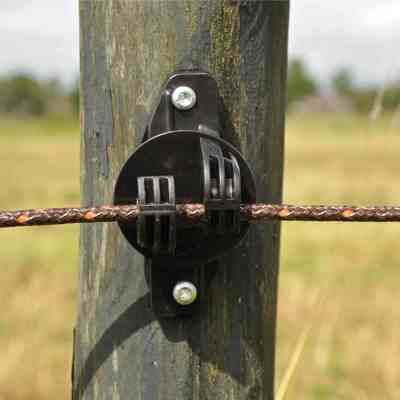 En eltråd til et elhegn holdes på plads af en isolator monteret på en hegnspæl.