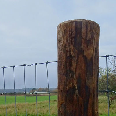 FaunaWood træpæl med fastgjort nethegn i et åbent landskab.