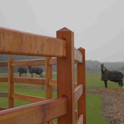 I forgrunden en roundpen af lægtehegn i hårdttræ. I baggrunden heste i en hestefold.