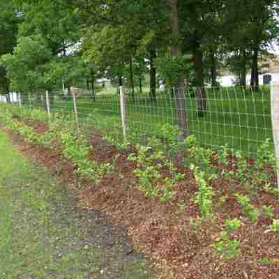 Hegnslinje lavet af Supernet med træpæle