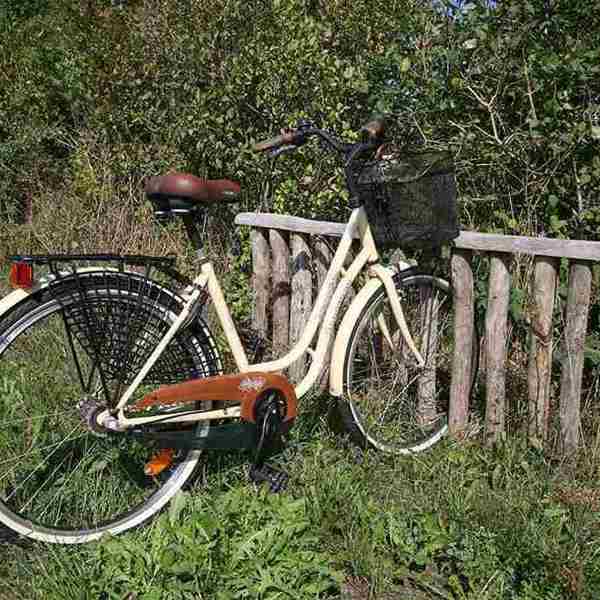 Cykelstativ i træ med hvid cykel