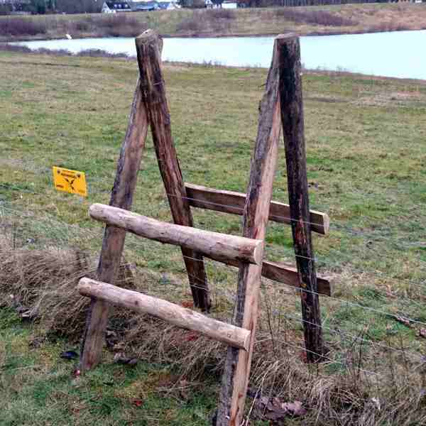 Hegnslinje med en trappe i træ, hvor man kan komme over på den anden side