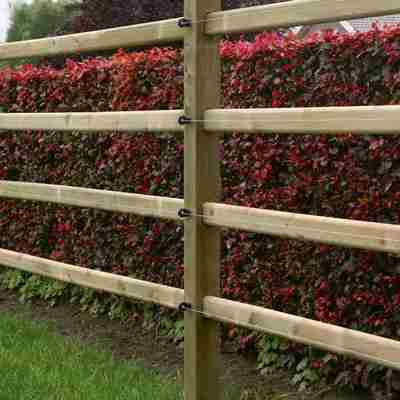 En firkantet hegnspæl med pyramidetop og fire afhøvlede lægter ses midt i billedet. På pælen er der monteret fire el-tråde ud for hvert lægte.