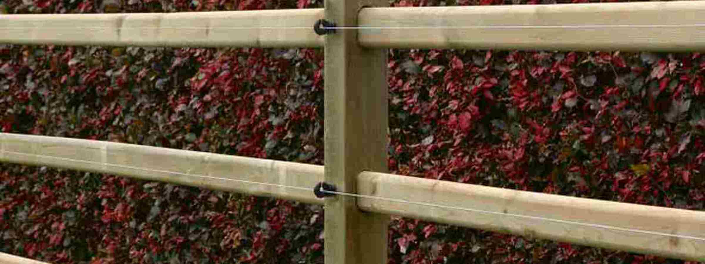 En firkantet hegnspæl med pyramidetop og fire afhøvlede lægter ses midt i billedet. På pælen er der monteret fire el-tråde ud for hvert lægte.