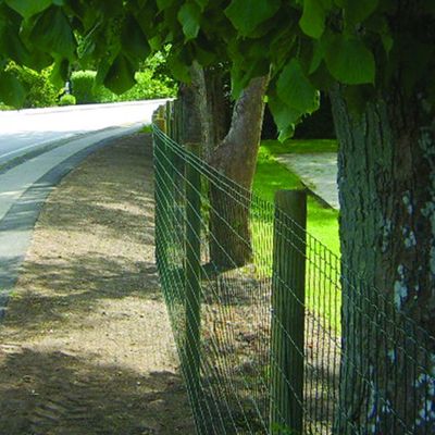 Havehegn Lux i grøn sat op ud mod en vej