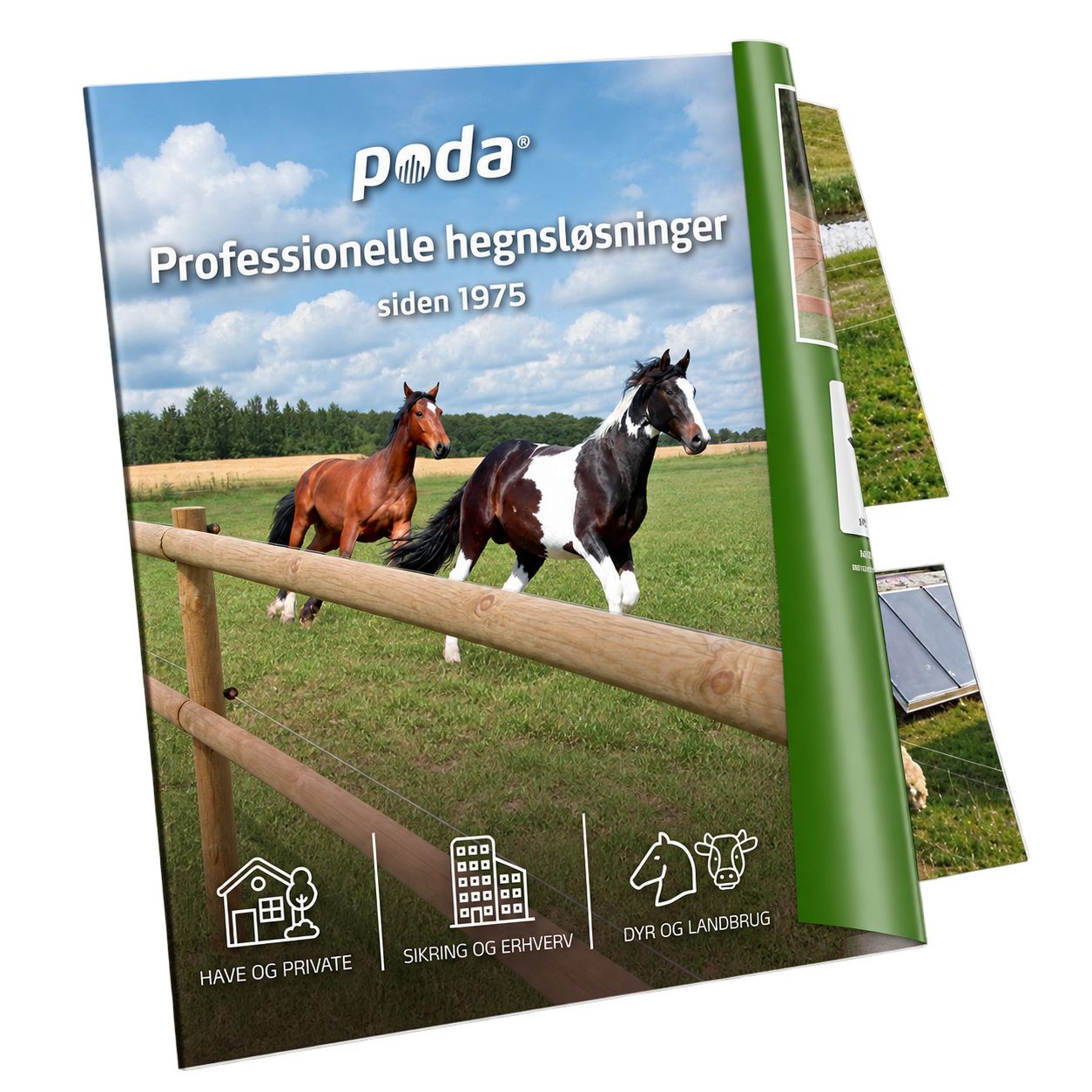 Catalog
