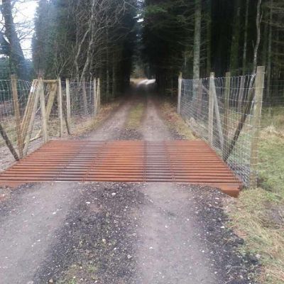 En færist  ved indgangen til en skov