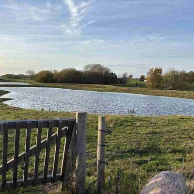 I en fold lavet af elhegnstråde, er der valgt en klaplåge som ind- og udgang