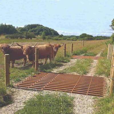 Tre køer står ved en færist