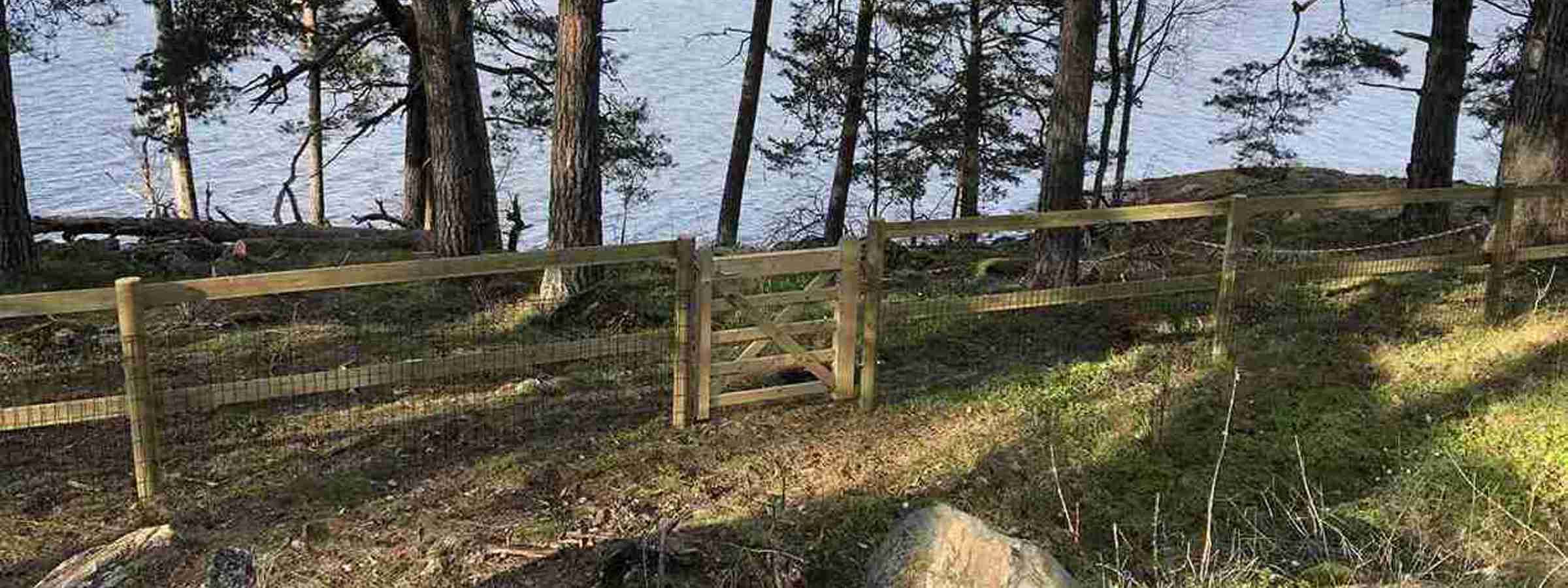 Et hegn bestående af trælægter og nethegn beskytter en kystlinje. Indhegningen er afsluttet med en trælåge