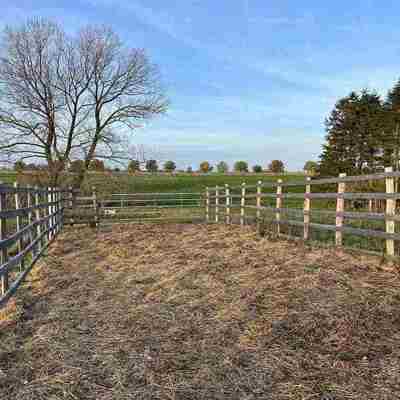 Permanent fangefold med stållåger, som ind- og udgang