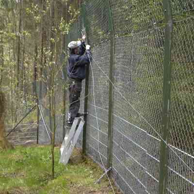 En mand monterer eltråde på toppen af et højt hegn i en zoo.