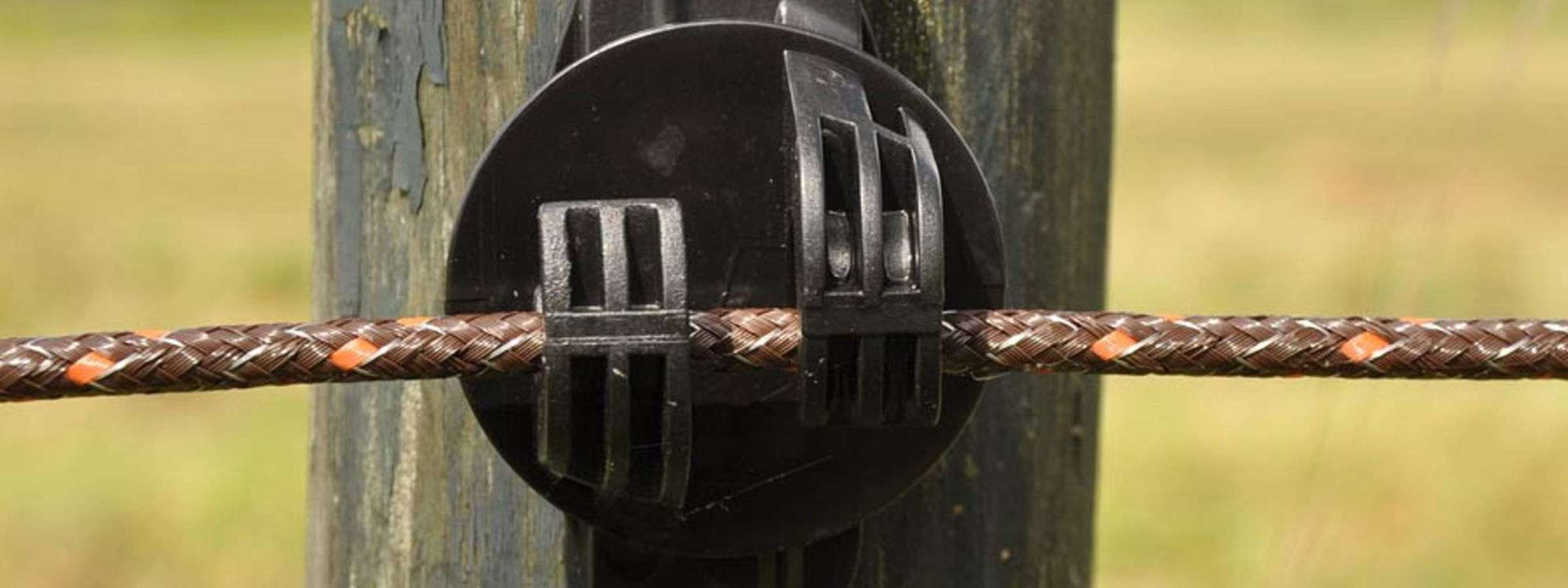 En eltråd til et elhegn holdes på plads af en isolator monteret på en hegnspæl.