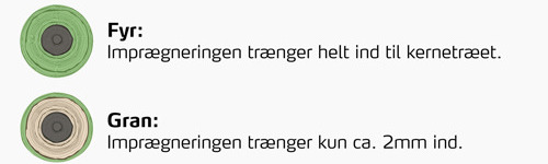 Billede der viser forskellen på trykimprægnering i fyr og gran; i fyr trænger imprægneringen helt ind til kernetræet, mens den i gran kun trænger ca. 2 mm ind.