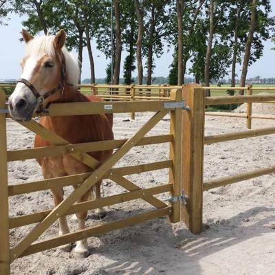 En brun hest står i dens indhegning og kigge ud over en Country House låge