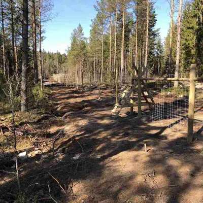 Et skovhegn sikrer et skovområde mod vildt og ubudne gæster.