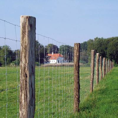 Et skovhegn sikrer et skovområde mod vildt og ubudne gæster.