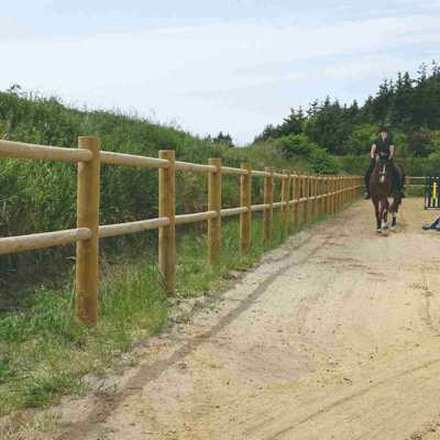 En kvindelig rytter fører hendes hest rundt på en ridebane med spring. Ridebanen er afgrænset af et ridebanehegn i træ.