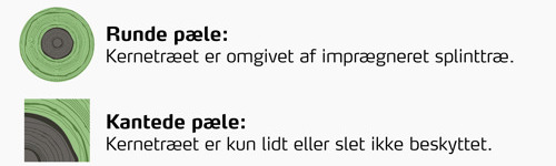 Billede der viser forskellen på trykimprægnering ved runde pæle og kantede pæle; runde pæle har imprægneret splinttræ omkring kernetræet, mens kantede pæle kun er lidt eller slet ikke beskyttet.
