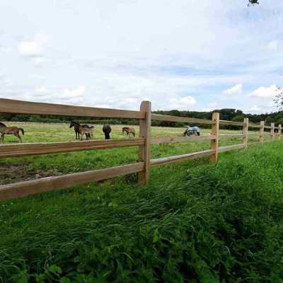 Mellem lægterne på et rustikt hestehegn kan flere heste og føl ses græsse i en hestefold.