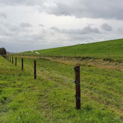 FaunaWood hegnspæle med eltråd opsat på en eng ved en bakke.