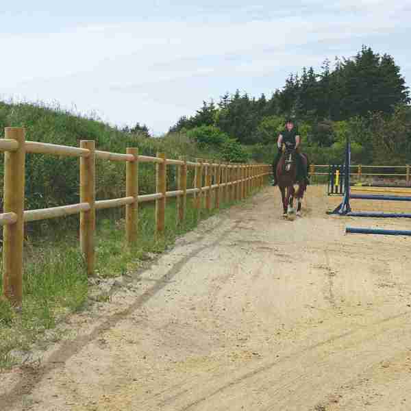 En kvindelig rytter fører hendes hest rundt på en ridebane med spring. Ridebanen er afgrænset af et ridebanehegn i træ.