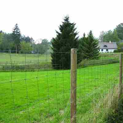 Et vildthegn holder rådyr og andet vildt ude af en have.