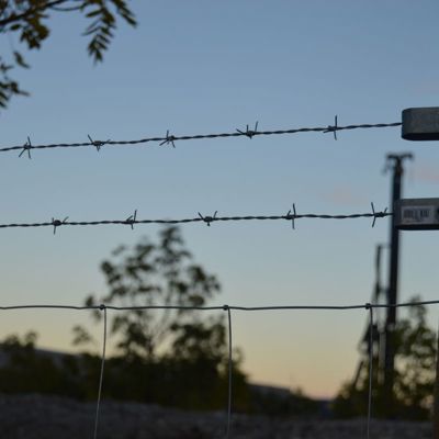 Et nærbillede af pigtråde ovenpå et byggepladshegn