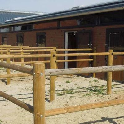 Et Texas hestehegn står langs en hestestald.