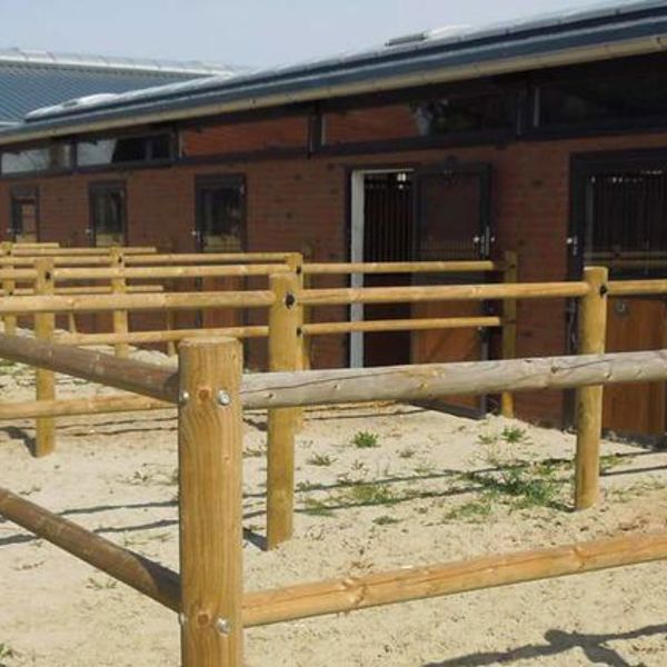 Et Texas hestehegn står langs en hestestald.