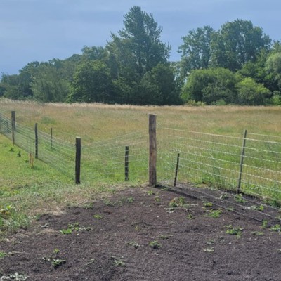 Privat billede fra partneren