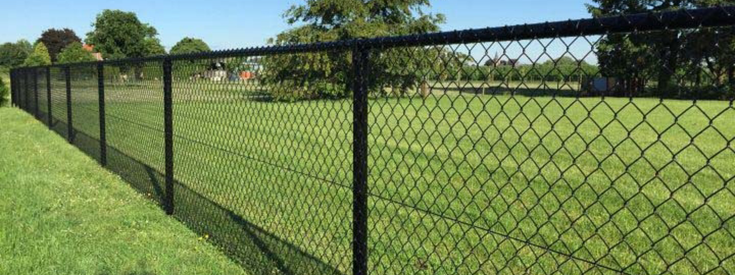 Et flethegn sat op i en have med grønt græs