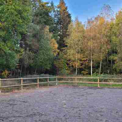 Privat billede fra partneren