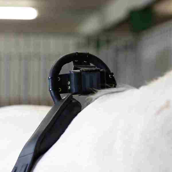 Nærbillede af en hests ryg, hvorpå der er en folealarm