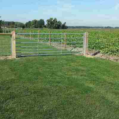 Sammen med et nethegn er et grøn areal hegnet ind med en stållåge