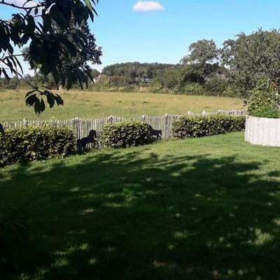 Udsigt udover naturområde fra en have med et kastanjehegn fra Poda i baggrunden