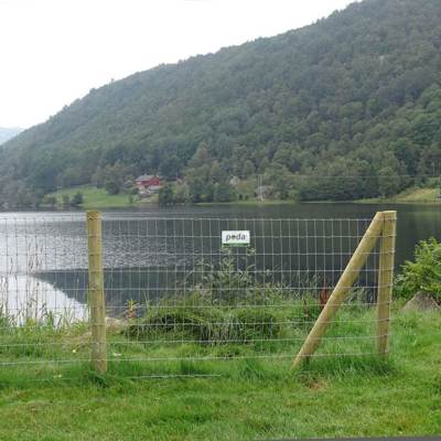 Hegnende på et Multinet hegn. I baggrunden er en sø og huse