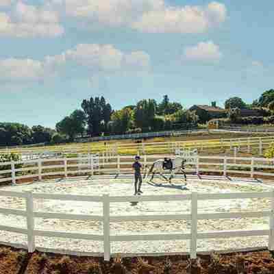 En hestetræner fører en hvid hest rundt i en round pen. Round pennen består af et hvidt hestehegn i hvid plast.