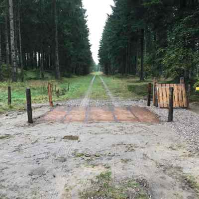 Flot færist i skoven