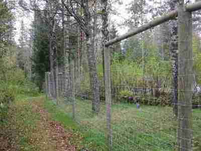 Man ser et skovhegn der holder vildt inde i skoven