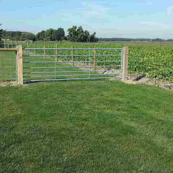 Sammen med et nethegn er et grøn areal hegnet ind med en stållåge