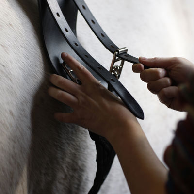 En person er i færd med at fastgøre en folealarm på en hest